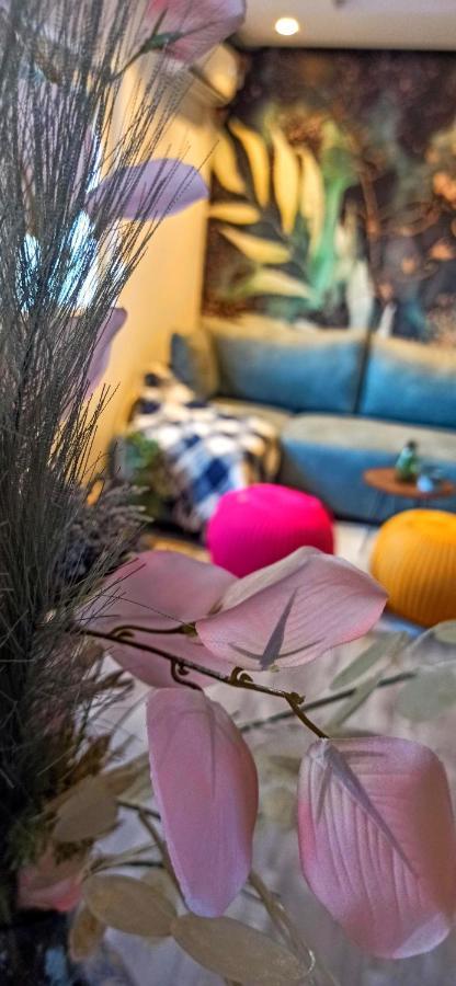 נובי סאד Malac-New Equipped Studio Apartment Within The City Core מראה חיצוני תמונה